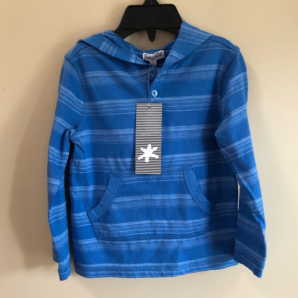 Splendid Toddler Boys Blue Hoodie